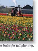 Order bulbs for fall planting.